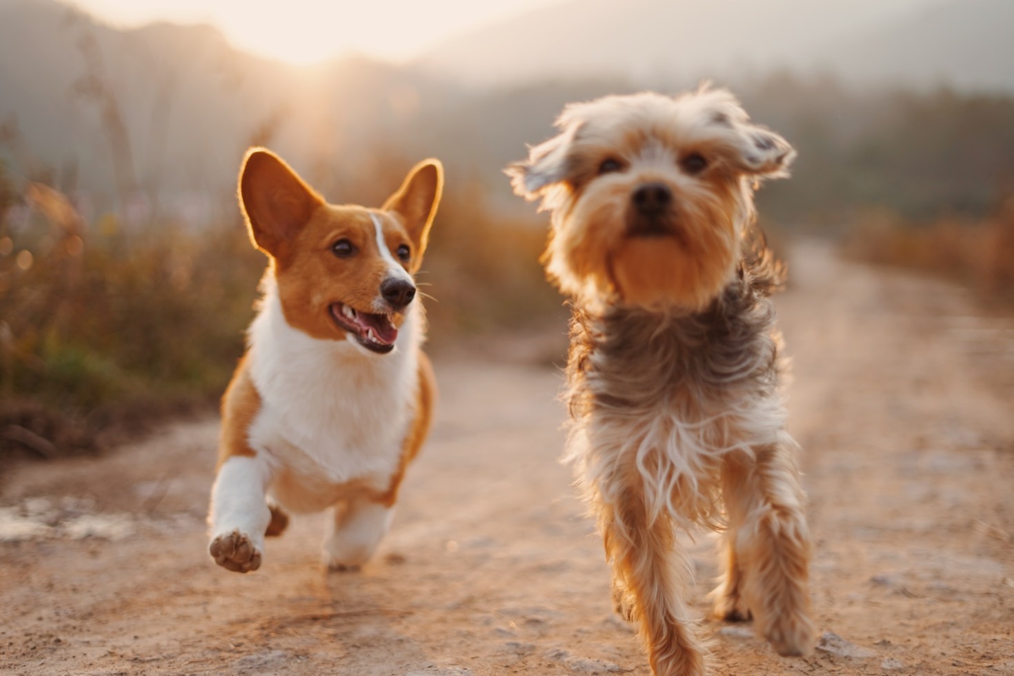 Mastering the First Impression: Your intriguing post title goes here Mastering the First Impression: Your intriguing post title goes here
