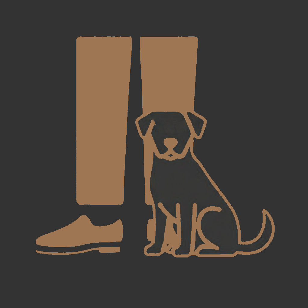 Beagle Cane Compagnia