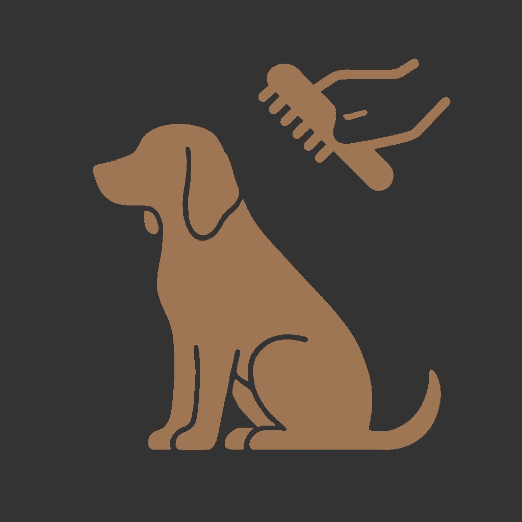 Beagle Cane Cura