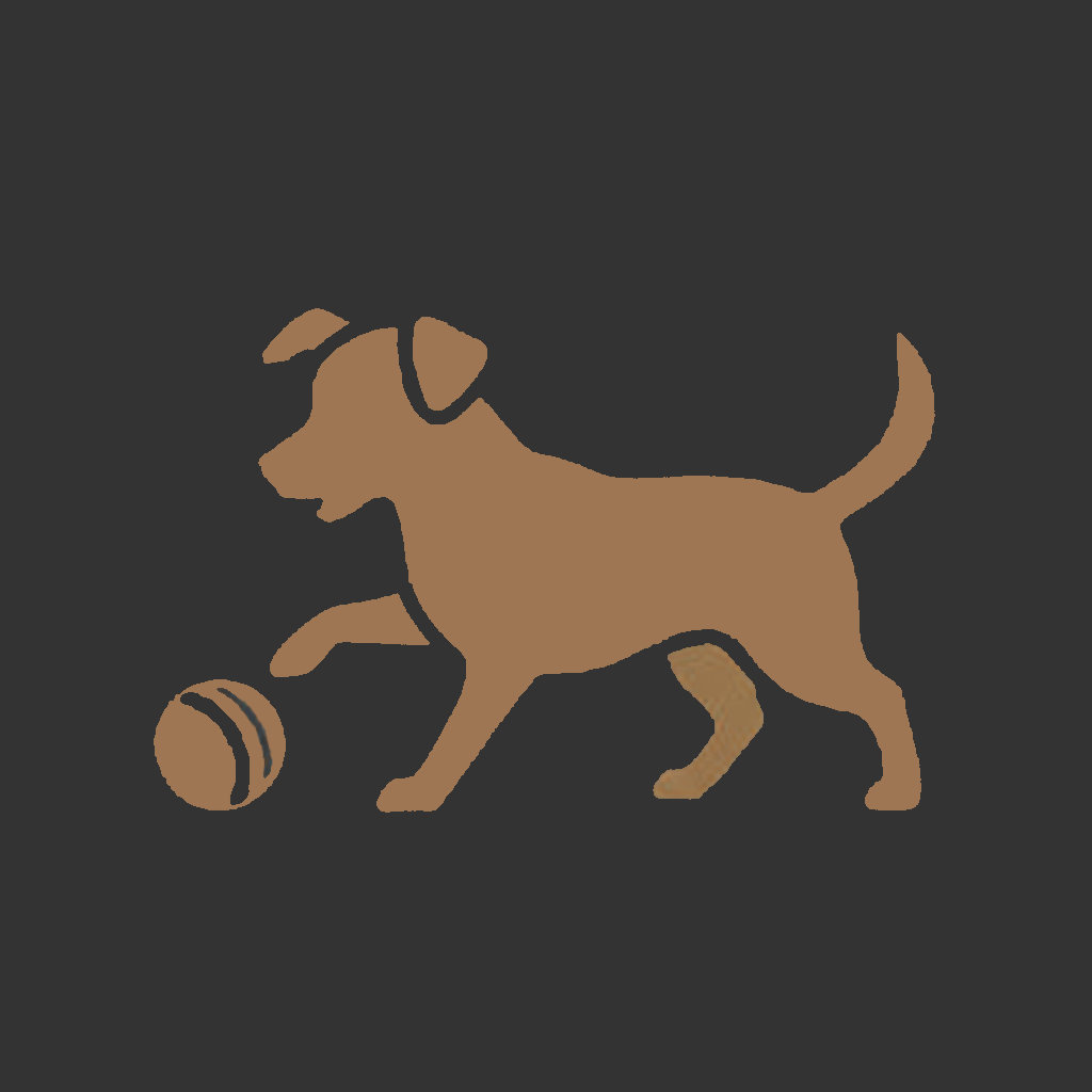 Beagle Cane Gioca