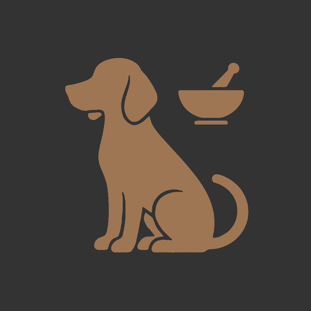 Beagle Cura Cane